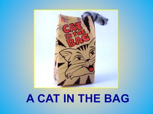 A CAT IN THE BAG