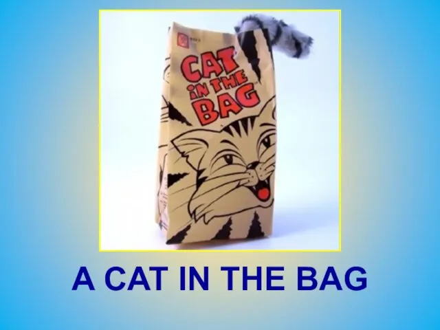 A CAT IN THE BAG