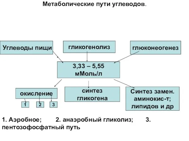 Метаболические пути углеводов. 3,33 – 5,55 мМоль/л глюконеогенез гликогенолиз Углеводы пищи