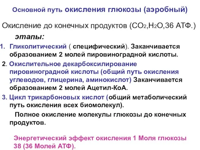 Основной путь окисления глюкозы (аэробный) Окисление до конечных продуктов (СО2,Н2О,36 АТФ.)