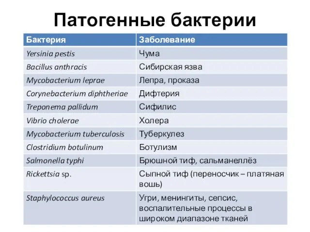 Патогенные бактерии