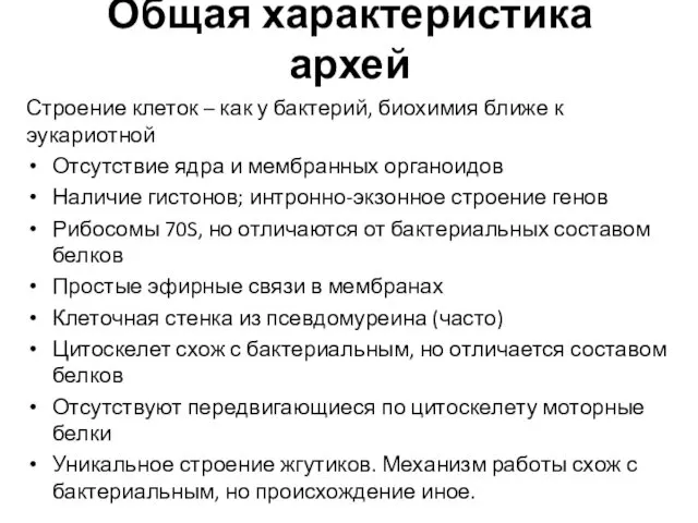 Общая характеристика архей Строение клеток – как у бактерий, биохимия ближе