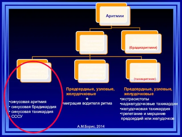 синусовая аритмия синусовая брадикардия синусовая тахикардия СССУ миграция водителя ритма Предсердные,