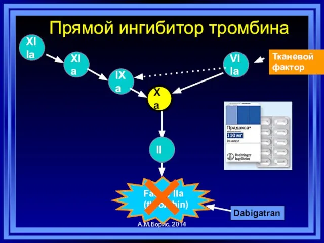 VIIa Xa IXa XIa XIIa Прямой ингибитор тромбина Тканевой фактор Factor