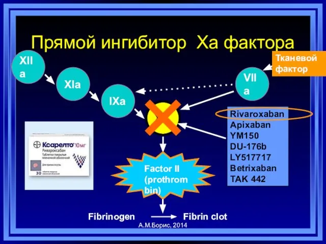 VIIa Xa IXa XIa XIIa Прямой ингибитор Xa фактора Fibrinogen Fibrin