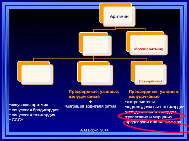 синусовая аритмия синусовая брадикардия синусовая тахикардия СССУ миграция водителя ритма Предсердные,