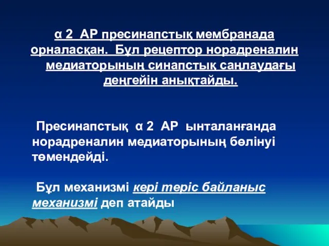 α 2 АР пресинапстық мембранада орналасқан. Бұл рецептор норадреналин медиаторының синапстық