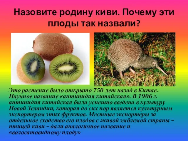 Назовите родину киви. Почему эти плоды так назвали? Это растение было