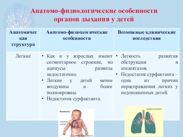 Анатомо-физиологические особенности органов дыхания у детей