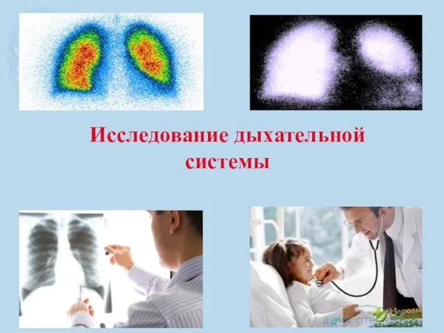 Исследование дыхательной системы