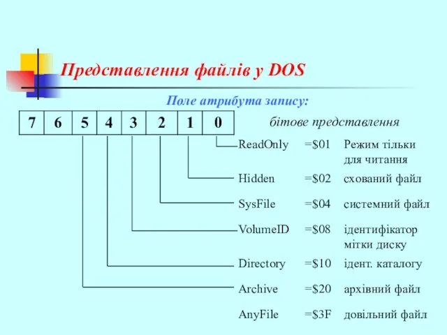 Представлення файлів у DOS Поле атрибута запису: