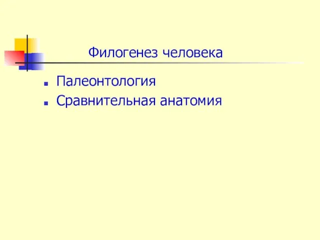 Палеонтология Сравнительная анатомия Филогенез человека