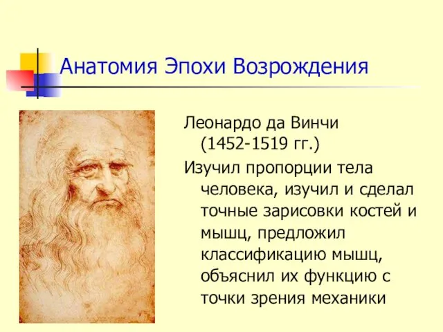 Анатомия Эпохи Возрождения Леонардо да Винчи (1452-1519 гг.) Изучил пропорции тела