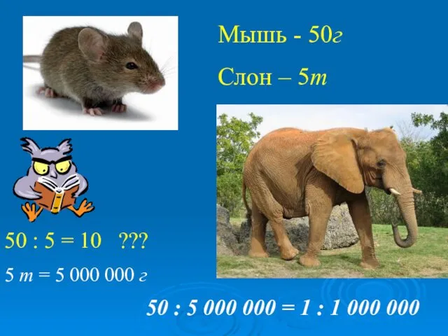 Мышь - 50г Слон – 5т 50 : 5 = 10