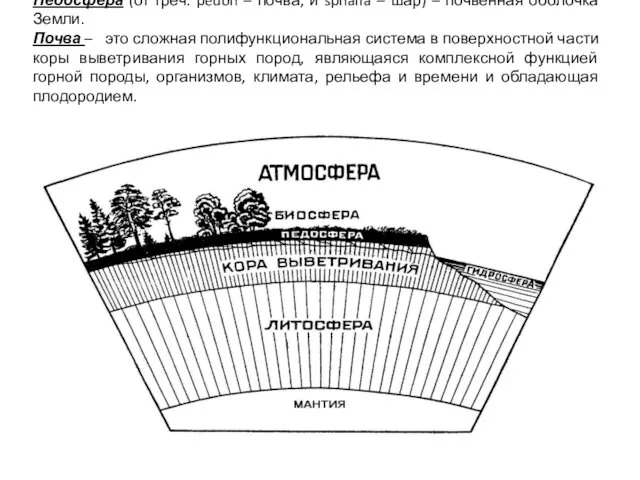 Педосфера (от греч. pedon – почва, и sphaira – шар) –