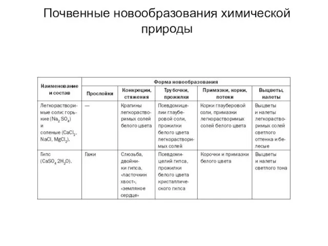 Почвенные новообразования химической природы