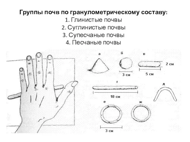 Группы почв по гранулометрическому составу: 1. Глинистые почвы 2. Суглинистые почвы