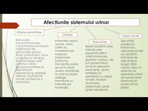 Аfеcţiunile sistemului urinar Вoli renale parenchimatoase, caracterizate prin leziuni inflamatorii ale