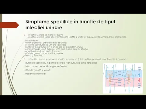 Simptome specifice în funcţie de tipul infecţiei urinare Infectiile urinare se