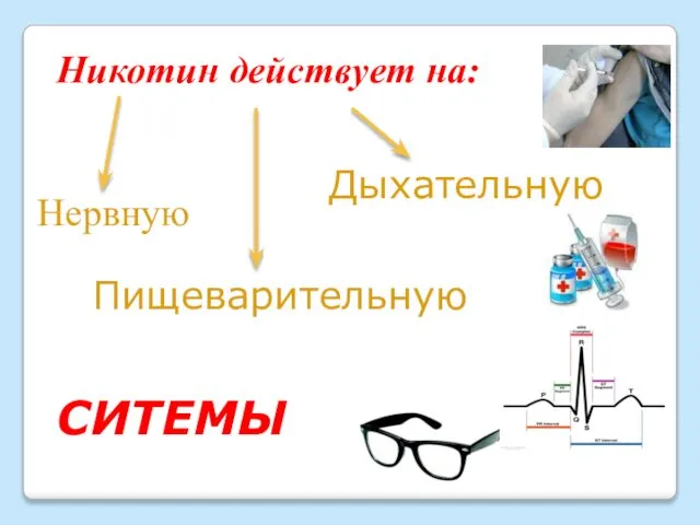 Никотин действует на: Нервную Пищеварительную Дыхательную СИТЕМЫ