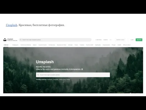 Unsplash. Красивые, бесплатные фотографии.