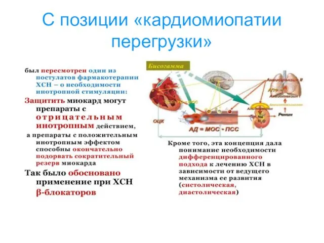 С позиции «кардиомиопатии перегрузки»