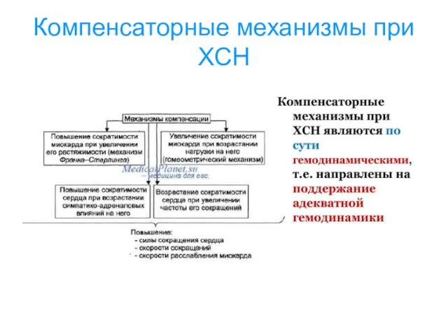 Компенсаторные механизмы при ХСН