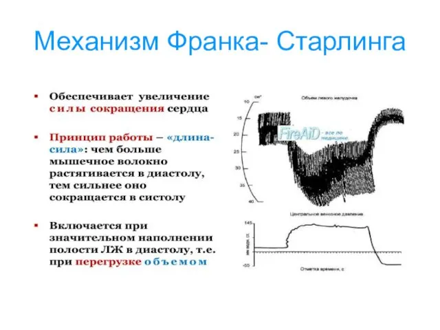 Механизм Франка- Старлинга