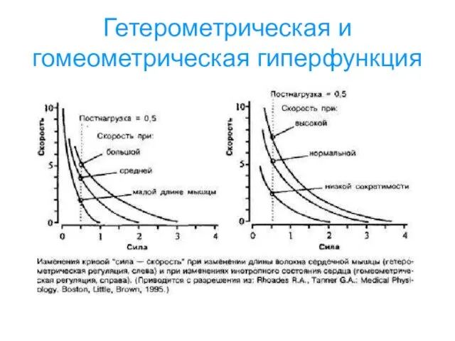 Гетерометрическая и гомеометрическая гиперфункция