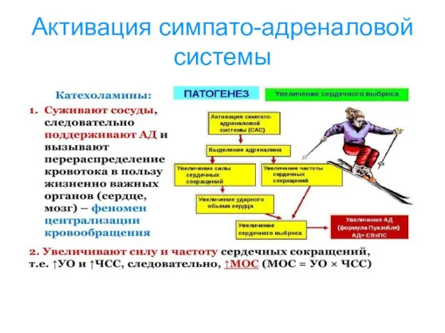 Активация симпато-адреналовой системы