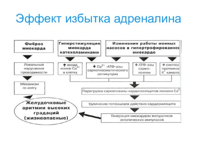 Эффект избытка адреналина