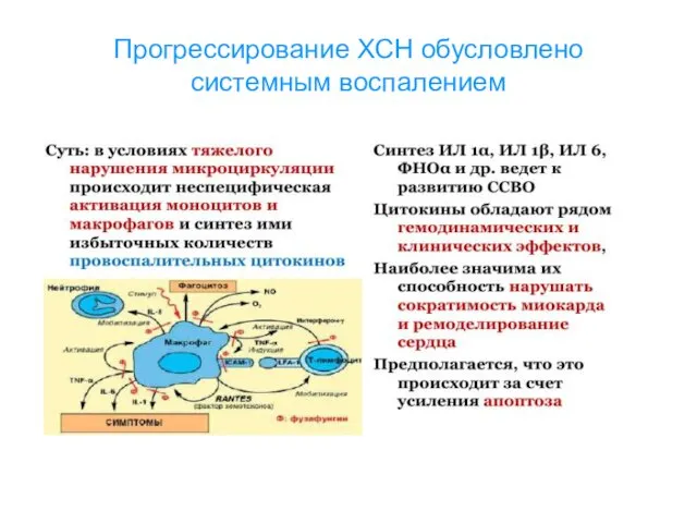 Прогрессирование ХСН обусловлено системным воспалением