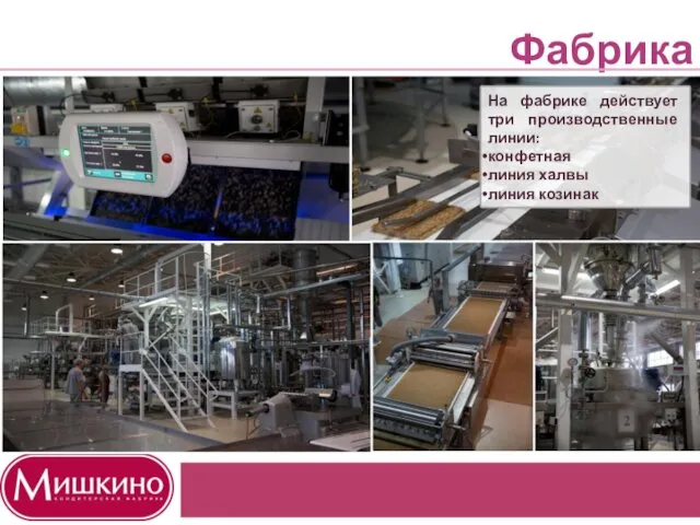 Фабрика Мишкино Первая продукция «Мишкино» вышла на рынок в ноябре 2013