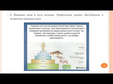 4. Пищевые цепи и сети питания. Трофические уровни. Пастбищные и детритные пищевые цепи