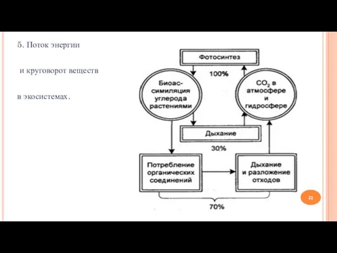 5. Поток энергии и круговорот веществ в экосистемах.