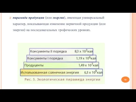 пирамида продукции (или энергии), имеющая универсальный характер, показывающая изменение первичной продукции