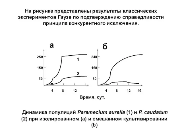 На рисунке представлены результаты классических экспериментов Гаузе по подтверждению справедливости принципа