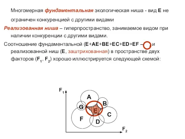 Многомерная фундаментальная экологическая ниша - вид Е не ограничен конкуренцией с