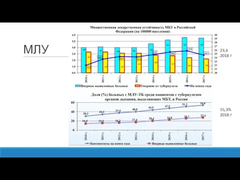 МЛУ 55,3% 2018 г 23,6 2018 г