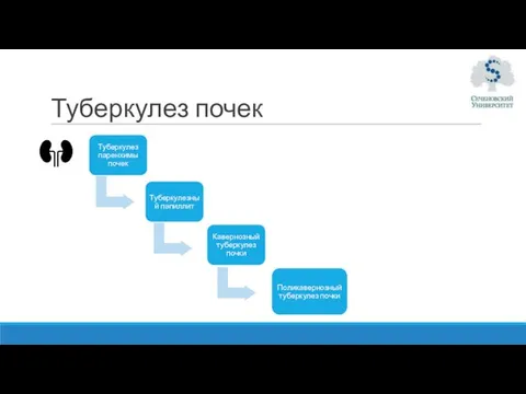 Туберкулез почек