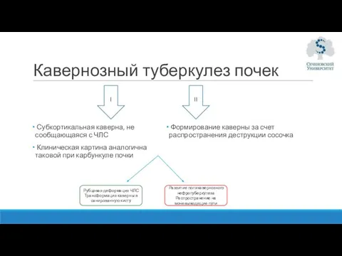 Кавернозный туберкулез почек Субкортикальная каверна, не сообщающаяся с ЧЛС Клиническая картина