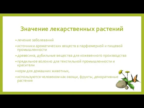 Значение лекарственных растений лечение заболеваний источники ароматических веществ в парфюмерной и