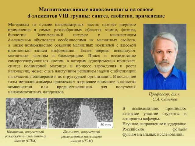 Магнитноактивные нанокомпозиты на основе d-элементов VIII группы: синтез, свойства, применение Профессор,