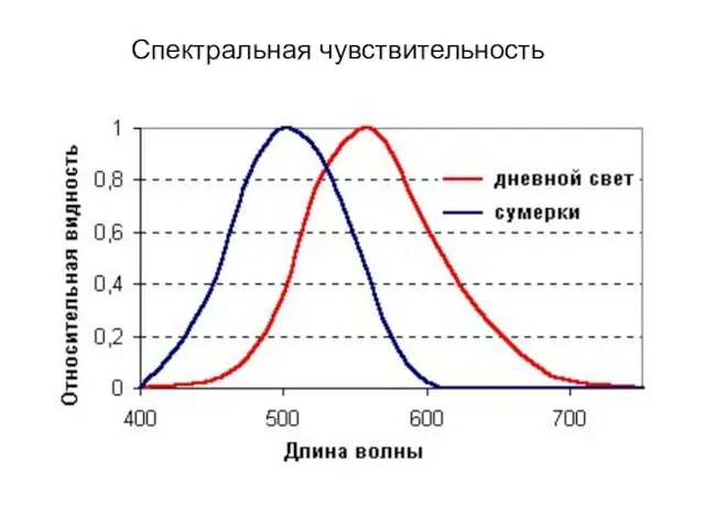 Спектральная чувствительность