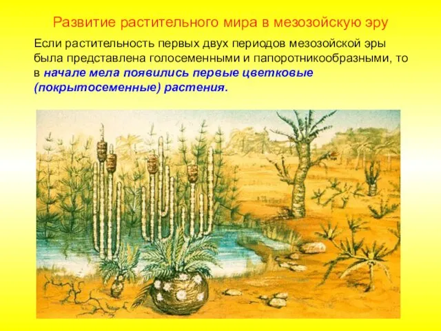 Если растительность первых двух периодов мезозойской эры была представлена голосеменными и