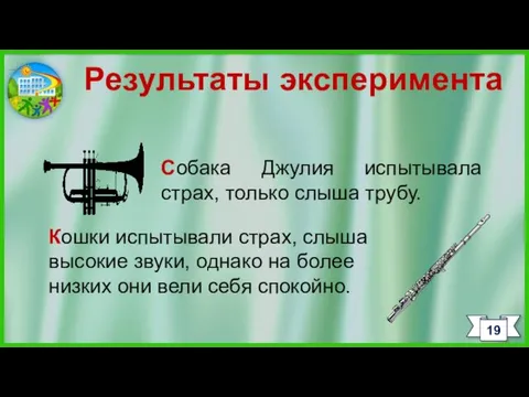 19 Результаты эксперимента Собака Джулия испытывала страх, только слыша трубу. Кошки