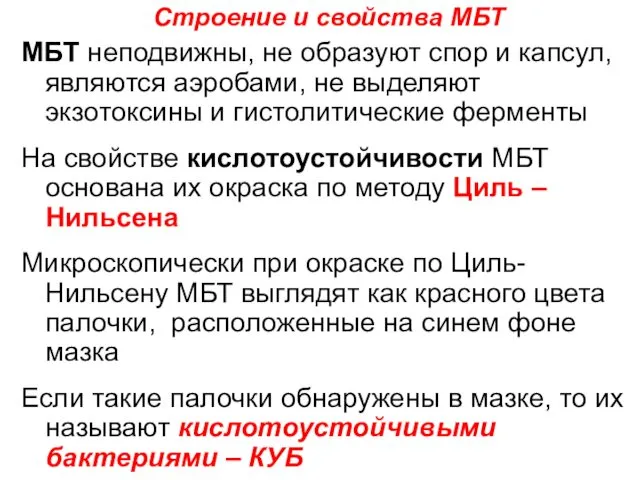 МБТ неподвижны, не образуют спор и капсул, являются аэробами, не выделяют