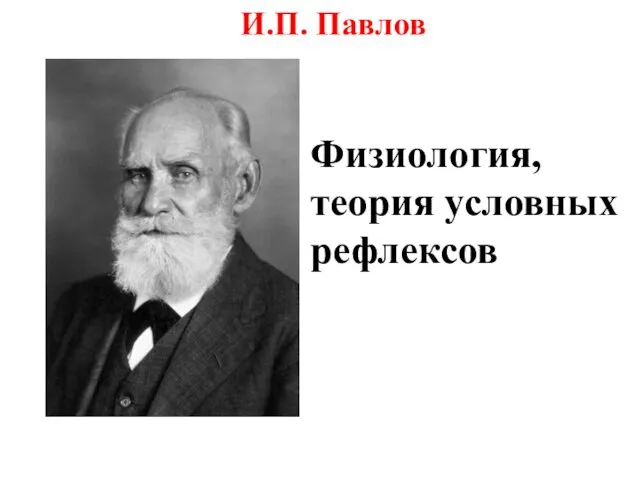 И.П. Павлов Физиология, теория условных рефлексов