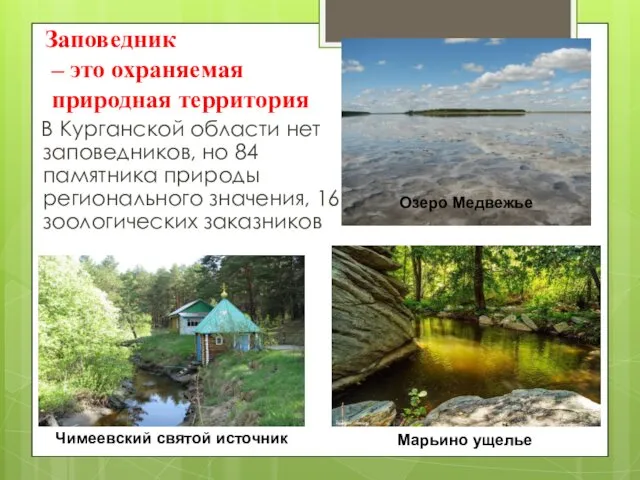 Заповедник – это охраняемая природная территория В Курганской области нет заповедников,