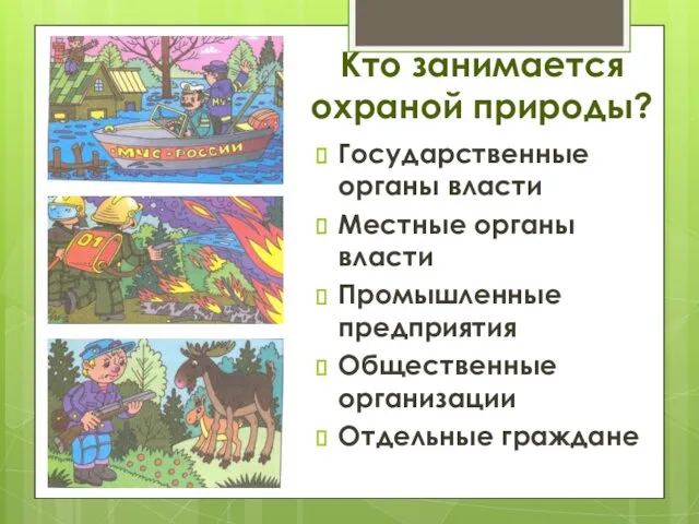 Кто занимается охраной природы? Государственные органы власти Местные органы власти Промышленные предприятия Общественные организации Отдельные граждане